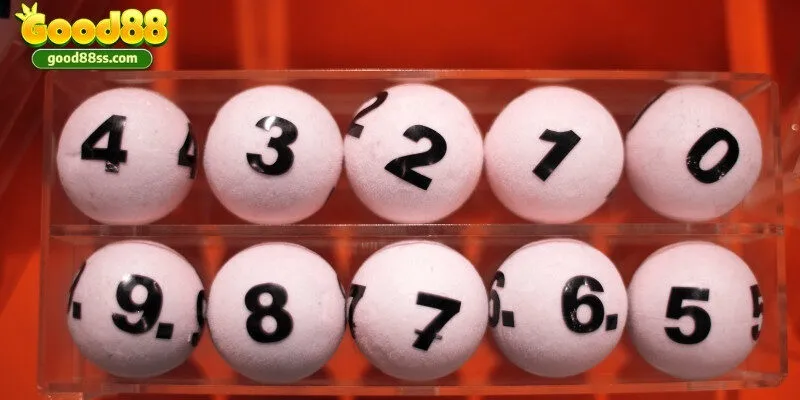 4 cách nuôi lô bao đỉnh từ chuyên gia